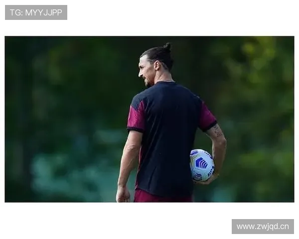 内斯塔与图拉姆后防线稳定性分化及影响体系参与度趋势