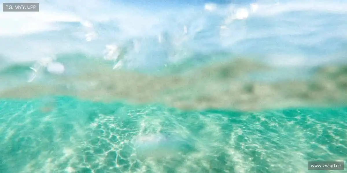 🔥热血赛事，不容错过！🏀 点击预约，见证巅峰时刻！